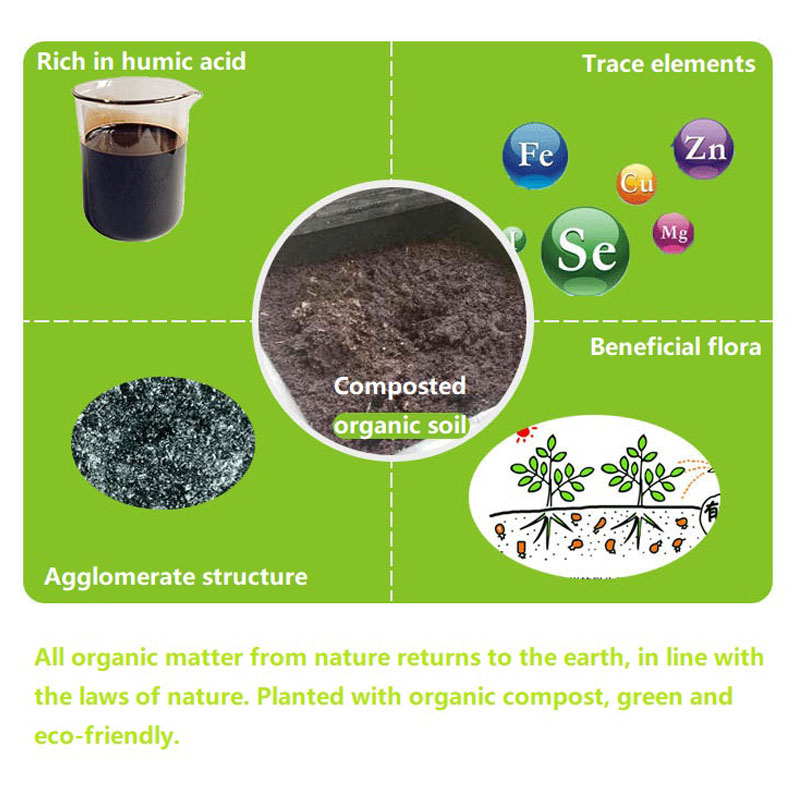 15L Compost Bin Garden Courtya - Compost Bin Countertop ulasan dan harga